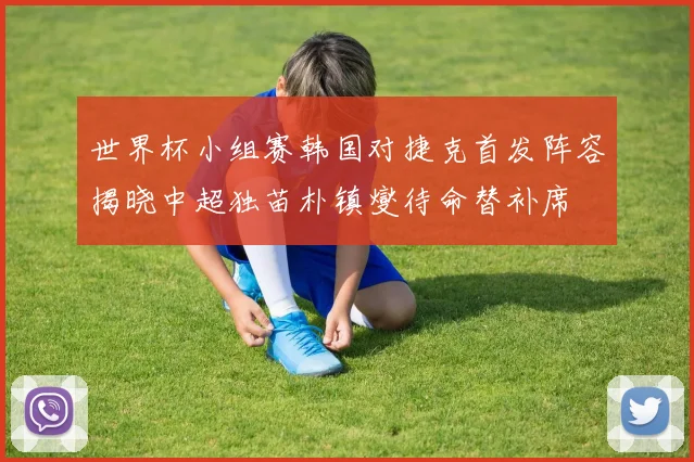 世界杯小组赛韩国对捷克首发阵容揭晓中超独苗朴镇燮待命替补席