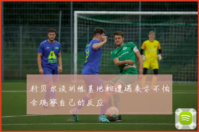 科贝尔谈训练基地蛇遭遇表示不怕会观察自己的反应
