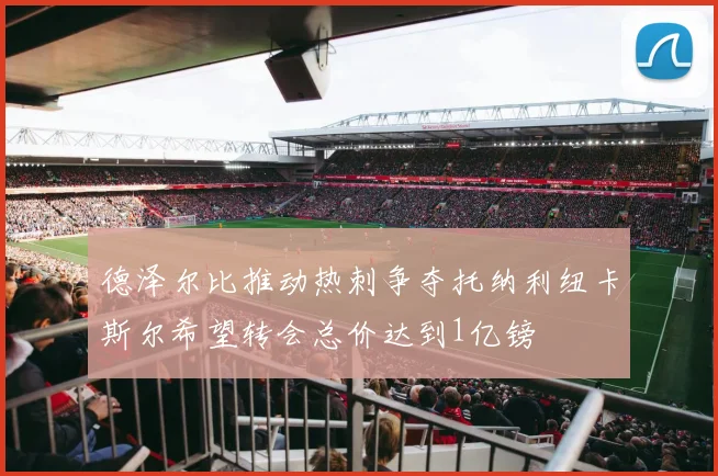 德泽尔比推动热刺争夺托纳利纽卡斯尔希望转会总价达到1亿镑
